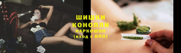 мдпв Козловка