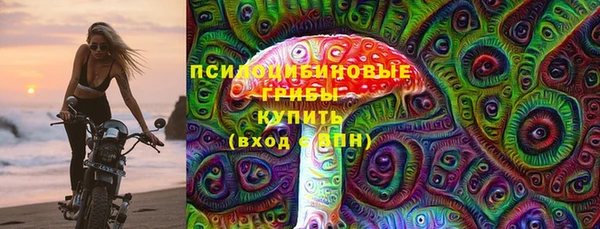 ПСИЛОЦИБИНОВЫЕ ГРИБЫ Карталы