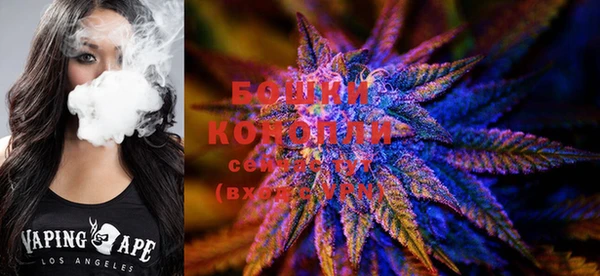 МДПВ Касимов