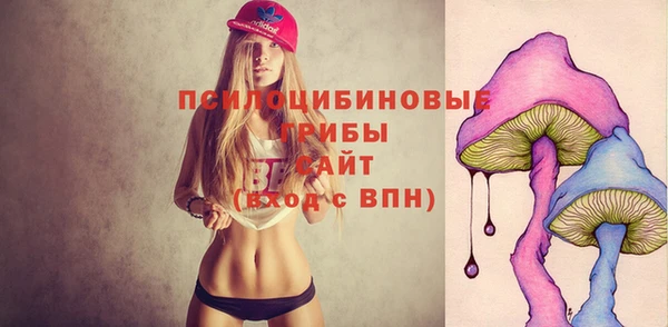 мдпв Козловка