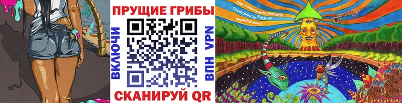 Галлюциногенные грибы Psilocybe  купить наркоту  Сольцы 
